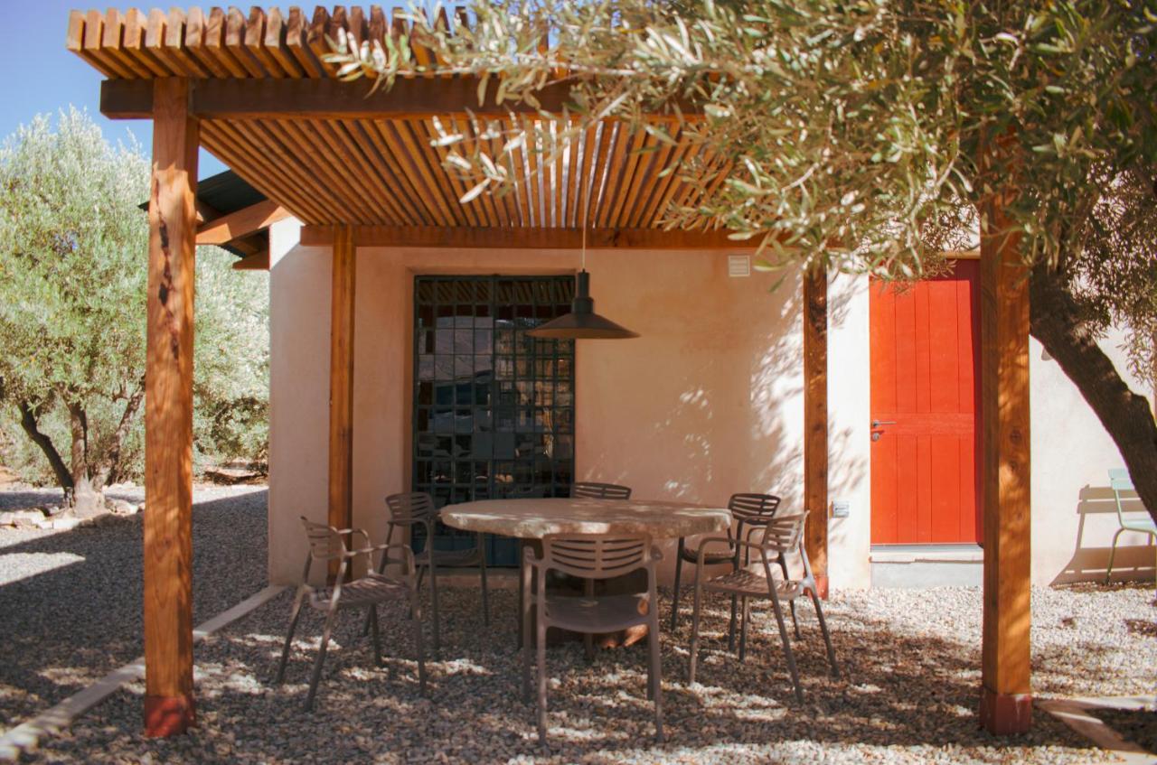 Alma Liebre Vinedos Del Valle Valle de Guadalupe Extérieur photo