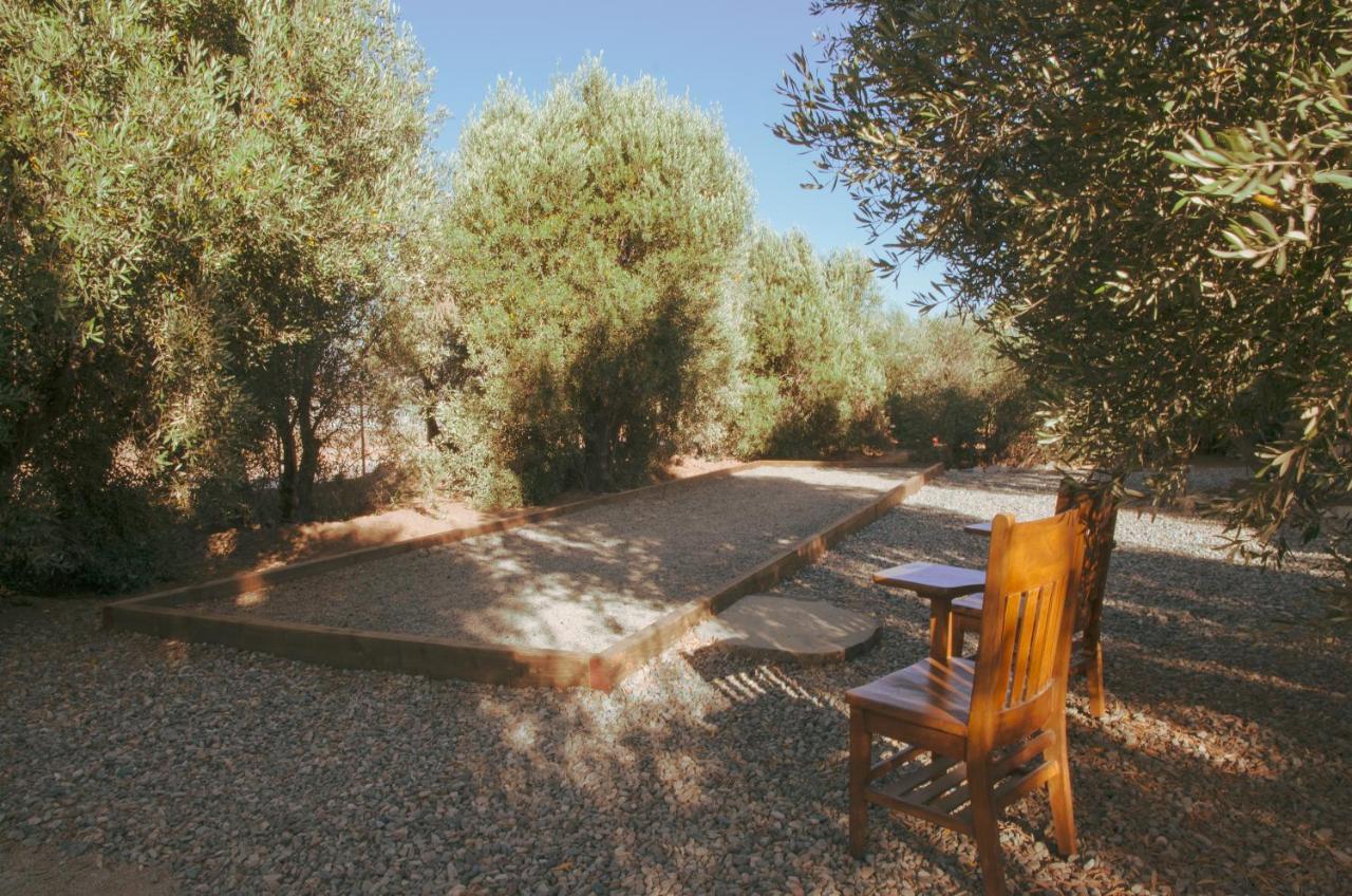 Alma Liebre Vinedos Del Valle Valle de Guadalupe Extérieur photo