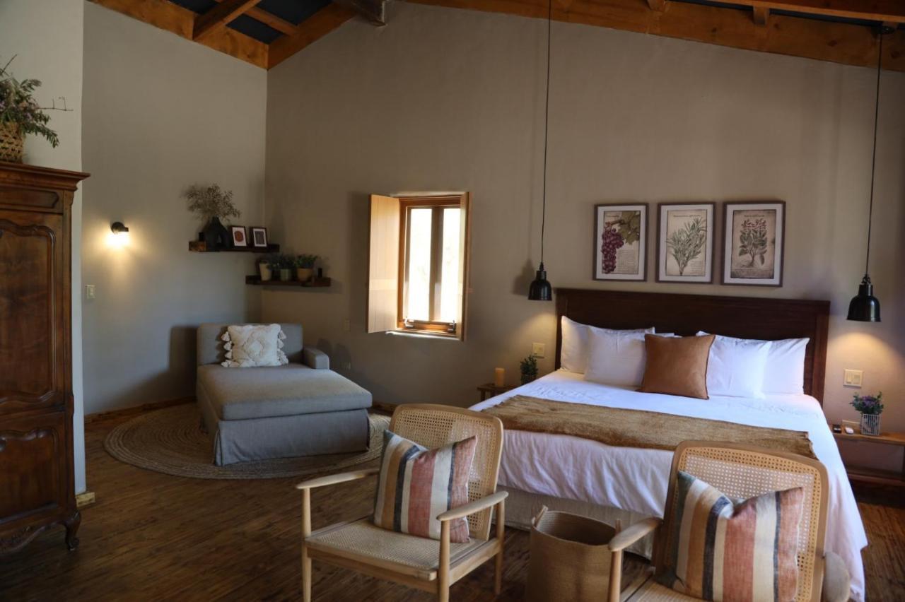 Alma Liebre Vinedos Del Valle Valle de Guadalupe Extérieur photo