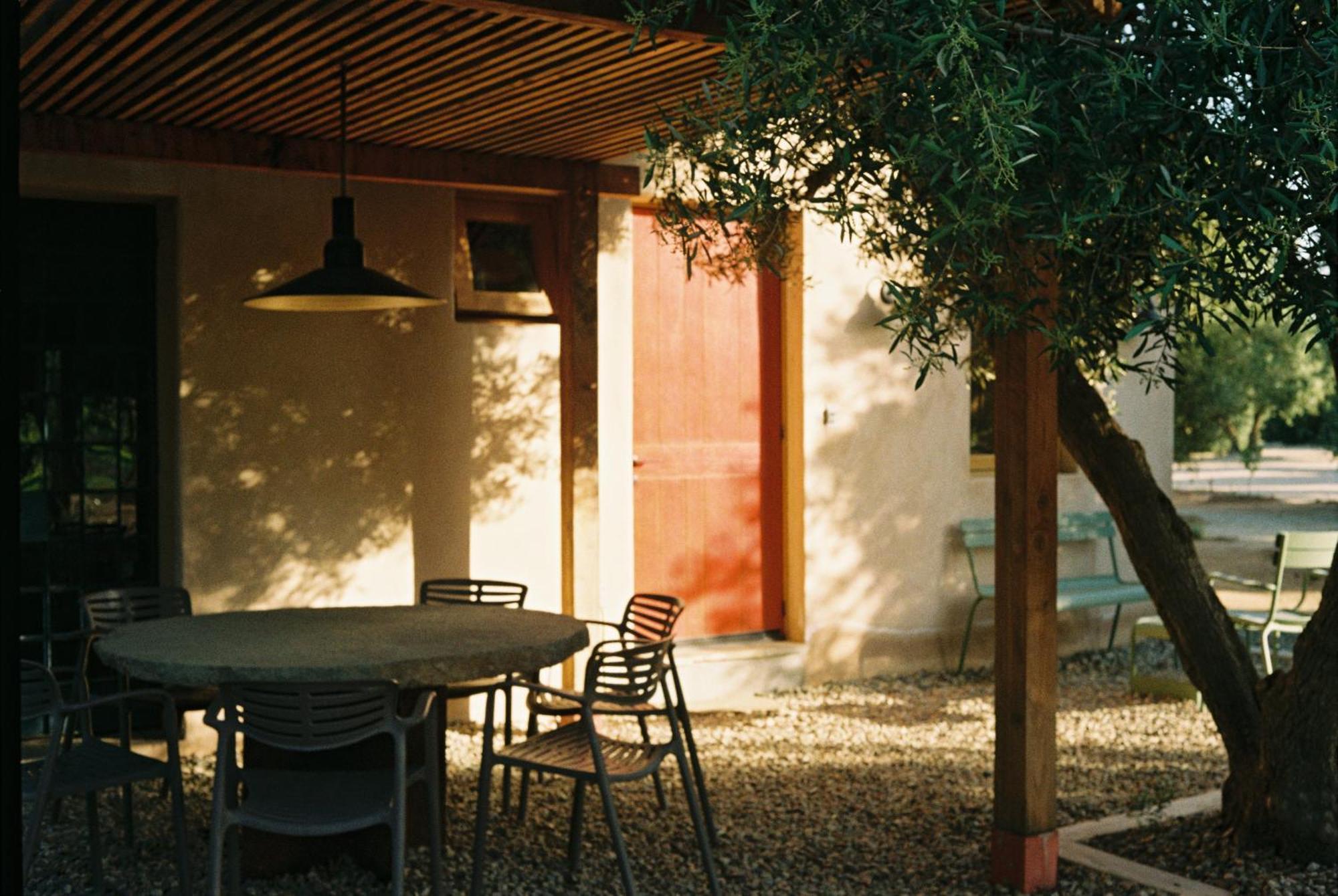Alma Liebre Vinedos Del Valle Valle de Guadalupe Extérieur photo