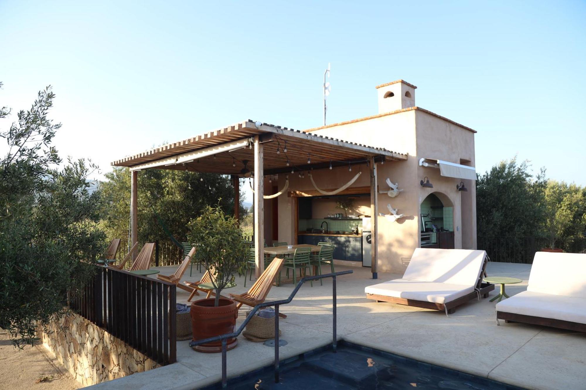 Alma Liebre Vinedos Del Valle Valle de Guadalupe Extérieur photo