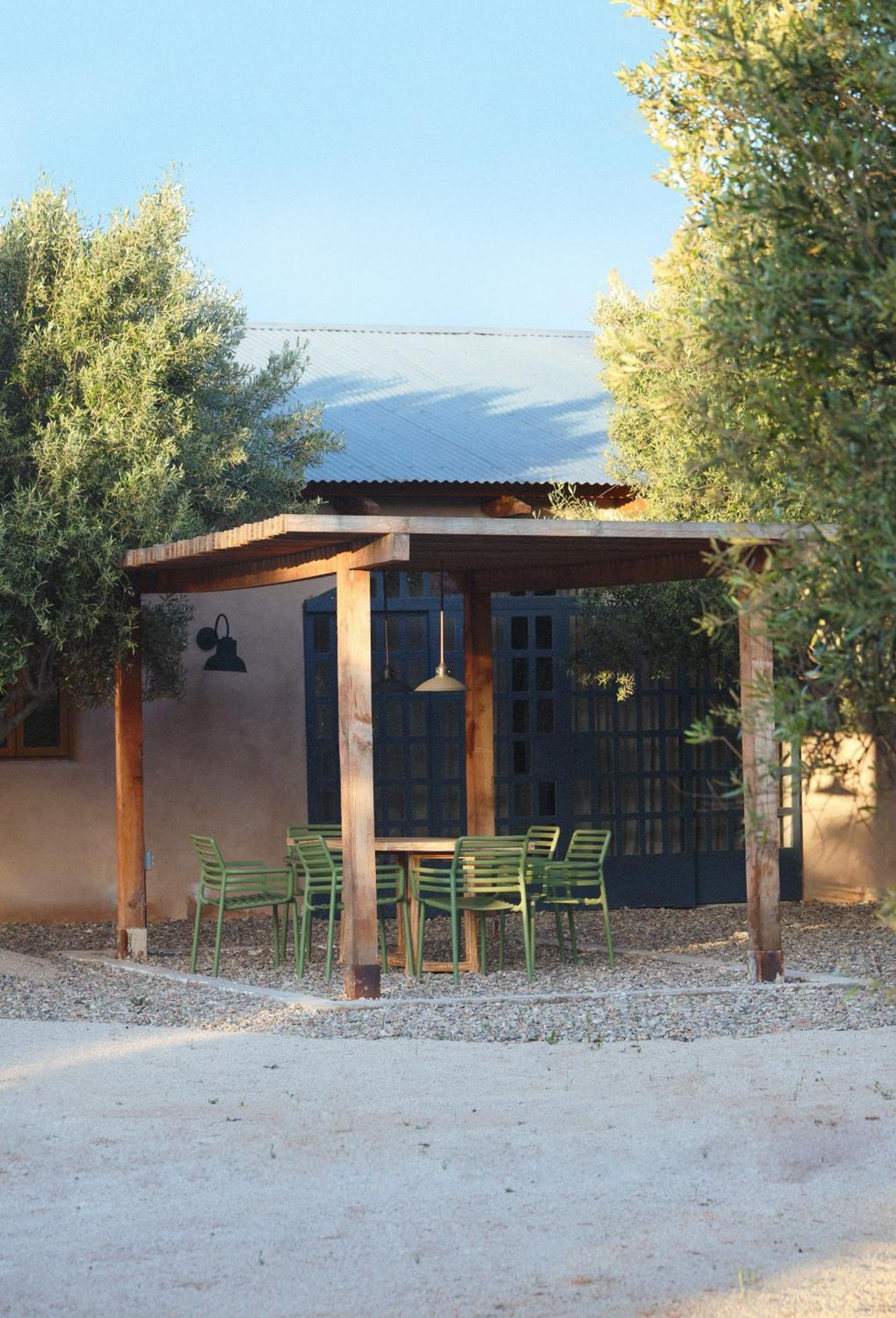 Alma Liebre Vinedos Del Valle Valle de Guadalupe Extérieur photo